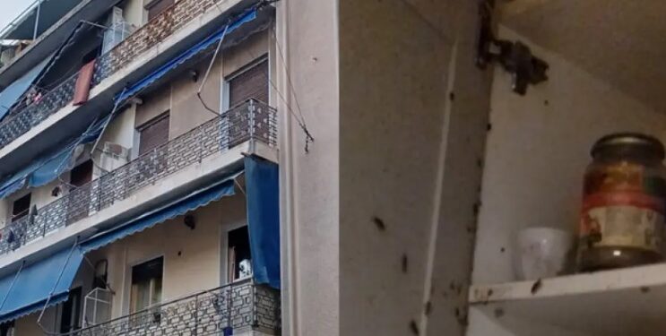 Άγιος Παντελεήμονας: «Έβγαζαν κατσαρίδες από το στόμα» δηλώνει συγκλονισμένος ο πατέρας των τριών παιδιών