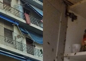 Alldaynews.gr Η στιγμή που λύγισε η δικαστής για τη φρiκη στον Άγιο Παντελεήμονα- “Σταματήστε δεν αντέχω άλλο”