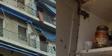 Alldaynews.gr Η στιγμή που λύγισε η δικαστής για τη φρiκη στον Άγιο Παντελεήμονα- “Σταματήστε δεν αντέχω άλλο”