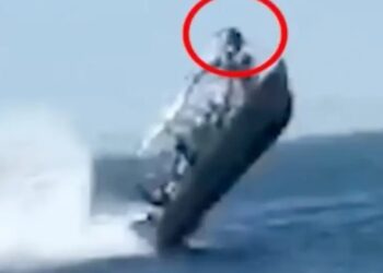 Τρομακτικό ατύχημα: Φάλαινα πέταξε στον αέρα σκάφος με τουρίστες[video]