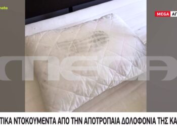 Alldaynews.gr Δολοφονία Καρολάιν: Με αυτό το μαξιλάρι την έπνιγε για 6 λεπτά ο Αναγνωστόπουλος-Σοκαριστικά Ντοκουμέντα