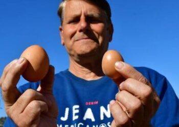 Ναύπλιο: Τεράστιο αυγό που πάει για ρεκόρ Γκίνες – Πόσο ζυγίζει;