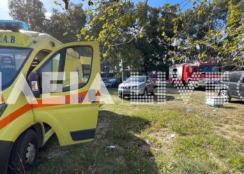 Τραγωδία: 21χρονος κρεμάστηκε σε πάρκο στον Αλφειό – Ενημέρωσε την αδελφή του