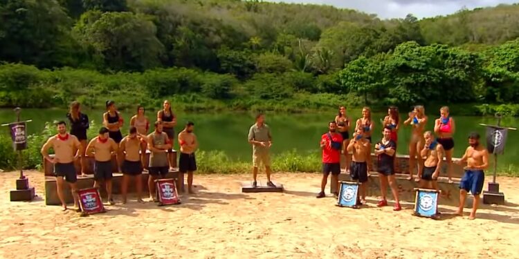 Alldaynews.gr survivor