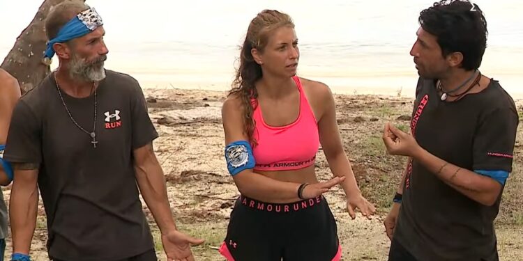 Alldaynews.gr survivor