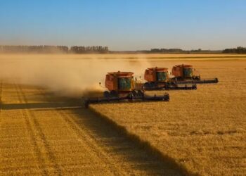 Οικονομία: Αυτές είναι οι εισαγωγές της Ελλάδας από Ουκρανία και Ρωσία την τελευταία τετραετία