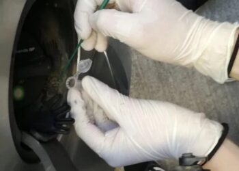 Δεν έφτανε η τιμή στα ύψη – Νέο ενεργειακό σοκ: Βακτήριο «τρώει» τα καύσιμα στο ρεζερβουάρ