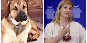 Σε κατάσταση ΣΟΚ η Μπεκατώρου: Αυτοκίνητο παρέσυρε και σκότωσε τον σκύλο της