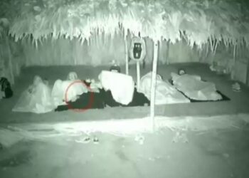 Survivor: Τα ‘παιξε μες στη νύχτα η Μέη – «Έπεσε πάνω μου ποντίκι»