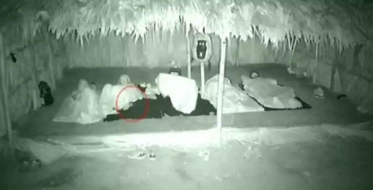 Alldaynews.gr Survivor: Τα ‘παιξε μες στη νύχτα η Μέη – «Έπεσε πάνω μου ποντίκι»