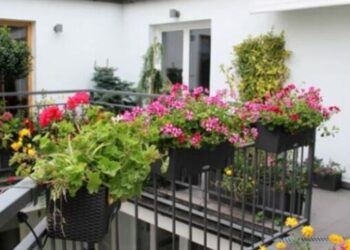 Μην το βάζετε στο σπίτι σας: Το φυτό που έχουμε όλοι και προκαλεί προβλήματα στην καρδιά