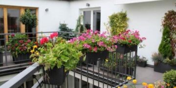 Alldaynews.gr Μην το βάζετε στο σπίτι σας: Το φυτό που έχουμε όλοι και προκαλεί προβλήματα στην καρδιά