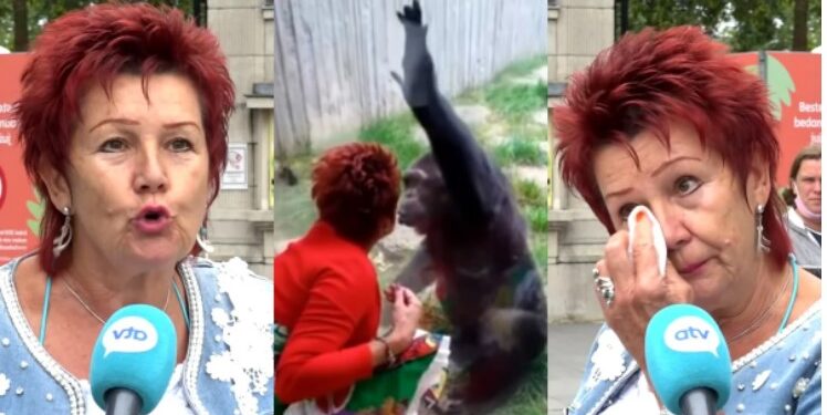 Alldaynews.gr «Είμαστε ζευγάρι 4 χρόνια»: Ζωολογικός κήπος απαγόρευσε σε γυναίκα να βρίσκεται με τον χιμπατζή σύντροφό της