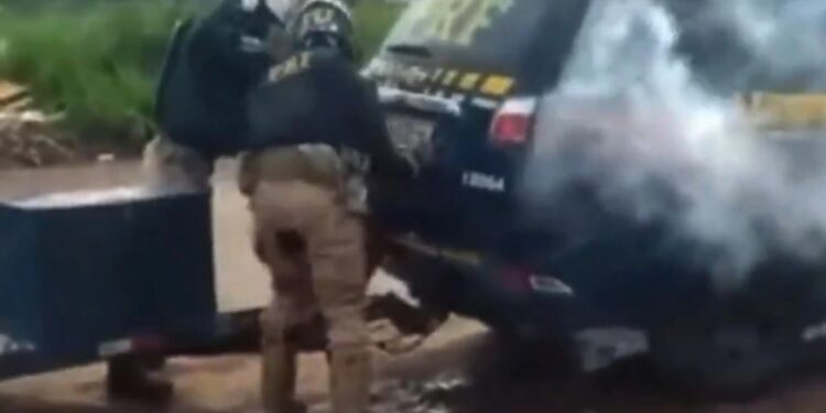 Alldaynews.gr Αστυνομικοί Κτήνη: Νεκρός ένας άνδρας που έκλεισαν σε πορτ-μπαγκάζ περιπολικού μαζί με ένα καπνογόνο