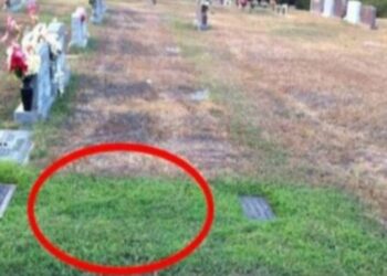 Μια μητέρα Δε μπορούσε να καταλάβει γιατί ο τάφος του γιου της ήταν πράσινος-Όταν έμαθε την αλήθεια