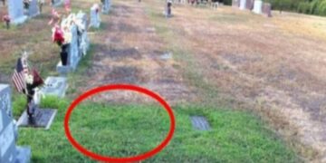 Μια μητέρα Δε μπορούσε να καταλάβει γιατί ο τάφος του γιου της ήταν πράσινος-Όταν έμαθε την αλήθεια