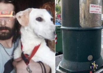 Δεν ήταν Άστεγος-Ο 37χρονος Δημήτρης ήταν ο άντρας που έχασε τη ζωή του στον ρομποτικό κάδο σκουπιδιών