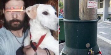 Alldaynews.gr Δεν ήταν Άστεγος-Ο 37χρονος Δημήτρης ήταν ο άντρας που έχασε τη ζωή του στον ρομποτικό κάδο σκουπιδιών