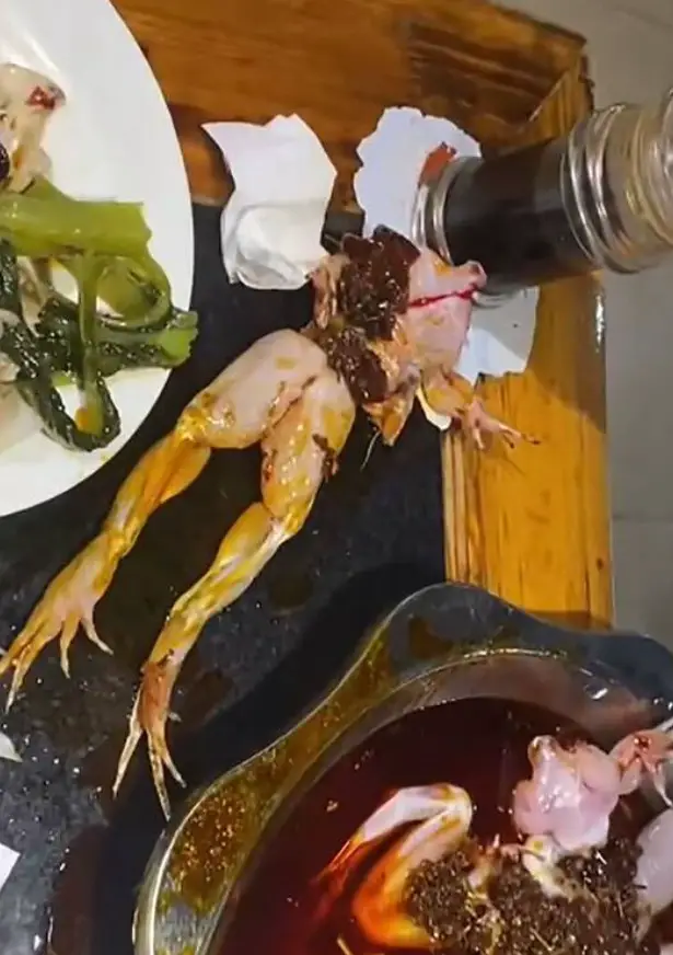 Χαμός σε εστιατόριο! Ακέφαλος βάτραχος πετάχτηκε από πιάτο[photos]