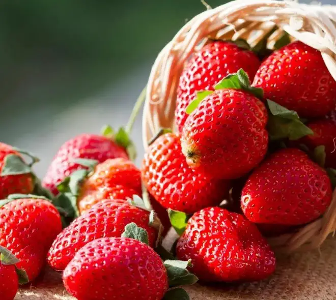 FDA: «Πετάξτε τις φράουλες» - Έρευνα για σύνδεση με έξαρση ηπατίτιδας Α