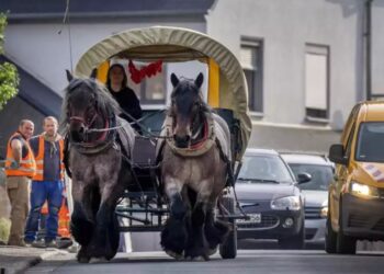 Πάει στη δουλειά με… κάρο! 33χρονη βρήκε την απάντηση στις υψηλές τιμές της βενζίνης