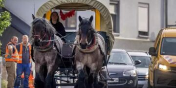 Alldaynews.gr Πάει στη δουλειά με… κάρο! 33χρονη βρήκε την απάντηση στις υψηλές τιμές της βενζίνης