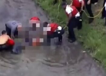 Τραγωδία στη Φλόριντα: Αλιγάτορες έφαγαν μητέρα και γιο που έπεσαν σε λίμνη