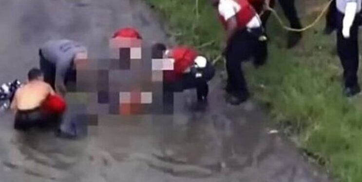 Alldaynews.gr Τραγωδία στη Φλόριντα: Αλιγάτορες έφαγαν μητέρα και γιο που έπεσαν σε λίμνη