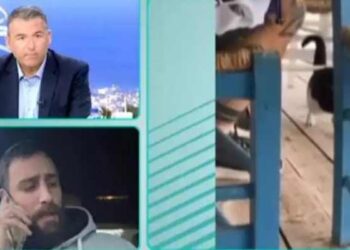 Μανώλης Καραμανώλης: “Ζητώ συγγνώμη για το βίντεο με το γατάκι” (video)