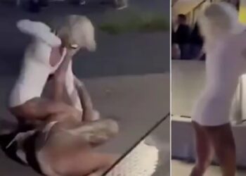 Alldaynews.gr Μοντέλα παίζουν ξύλο έξω από μπαρ (video)