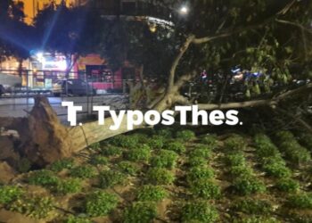 Θεσσαλονίκη: Ισχυροί άνεμοι «σαρώνουν» την πόλη – Πτώσεις δέντρων, ζημιές σε ΙΧ