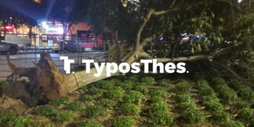 Alldaynews.gr Θεσσαλονίκη: Ισχυροί άνεμοι «σαρώνουν» την πόλη – Πτώσεις δέντρων, ζημιές σε ΙΧ