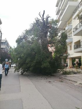 Θεσσαλονίκη: Ισχυροί άνεμοι «σαρώνουν» την πόλη – Πτώσεις δέντρων, ζημιές σε ΙΧ