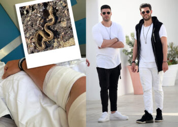 Droulias Brothers: Δάγκωσε φίδι τον Ηλία Δρούλια – Μεταφέρθηκε με αεροδιακομιδή στην Αθήνα από τη Μύκονο
