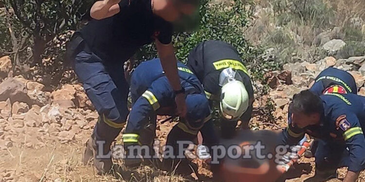 Alldaynews.gr Τραγικός θάνατος εργάτη στη Βοιωτία: Το σκαπτικό μηχάνημα που χειριζόταν έπεσε σε γκρεμό 150 μέτρων