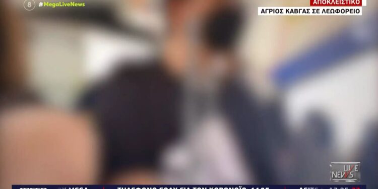 Alldaynews.gr Απίστευτος καβγάς σε αστικό λεωφορείο με επιβάτη και οδηγό “Όχι δεν πέρασα με κόκκινο, έχεις εσύ απόδειξη;” – Βίντεο ντοκουμέντο