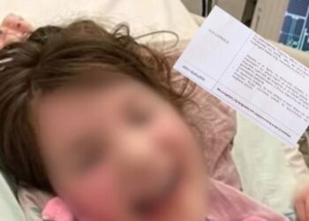 Αυτό είναι το επίσημο πόρισμα για την Δολοφονία της Τζωρτζίνας-Θα σκότωνε και ενα κοπάδι ελέφαντες