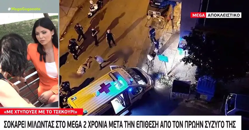 τσεκουριές