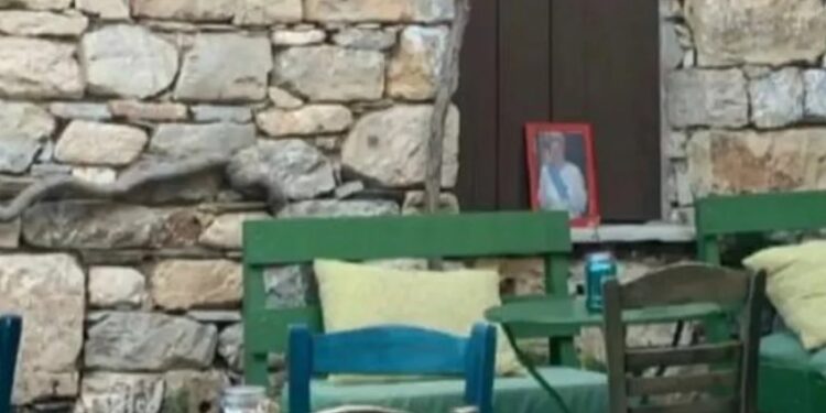 Alldaynews.gr Στάθης Παναγιωτόπουλος: Άνοιξε το μπαρ του στην Αλόννησο – Τι γίνεται με τα χρέη του