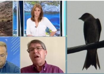 Πυρκαγιά στη Βούλα: Για όλα φταίει ένα Πουλί!![Δείτε το Βίντεο]