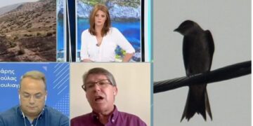 Πυρκαγιά στη Βούλα: Για όλα φταίει ένα Πουλί!![Δείτε το Βίντεο]