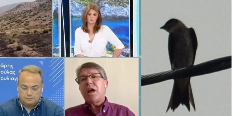 Πυρκαγιά στη Βούλα: Για όλα φταίει ένα Πουλί!![Δείτε το Βίντεο]