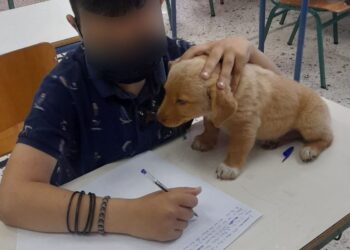 Αμαλιάδα: Μαθητές έδωσαν εξετάσεις παρέα με το σκυλάκι τους[photos]