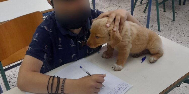 Αμαλιάδα: Μαθητές έδωσαν εξετάσεις παρέα με το σκυλάκι τους[photos]