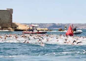 «Ακούγονταν κραυγές»: Μέδουσες επιτέθηκαν σε 80 κολυμβητές σε αγώνα