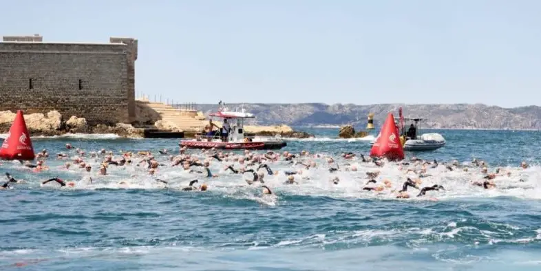 «Ακούγονταν κραυγές»: Μέδουσες επιτέθηκαν σε 80 κολυμβητές σε αγώνα