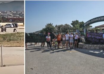 Αττικό Ζωολογικό Πάρκο: «Πόλεμος» πάνω από τον νεκρό χιμπατζή