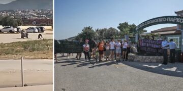 Alldaynews.gr Αττικό Ζωολογικό Πάρκο: «Πόλεμος» πάνω από τον νεκρό χιμπατζή