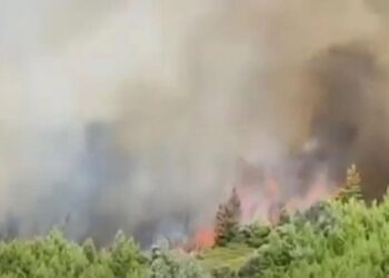 Εύβοια: Η φωτιά έχει φτάσει στην είσοδο του χωριού – Εντολή εκκένωσης (φωτο, video)