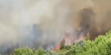 Alldaynews.gr Εύβοια: Η φωτιά έχει φτάσει στην είσοδο του χωριού – Εντολή εκκένωσης (φωτο, video)